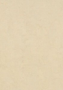 333858 633858 Barbados