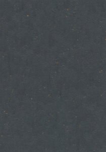 3583 Chocolate Blues