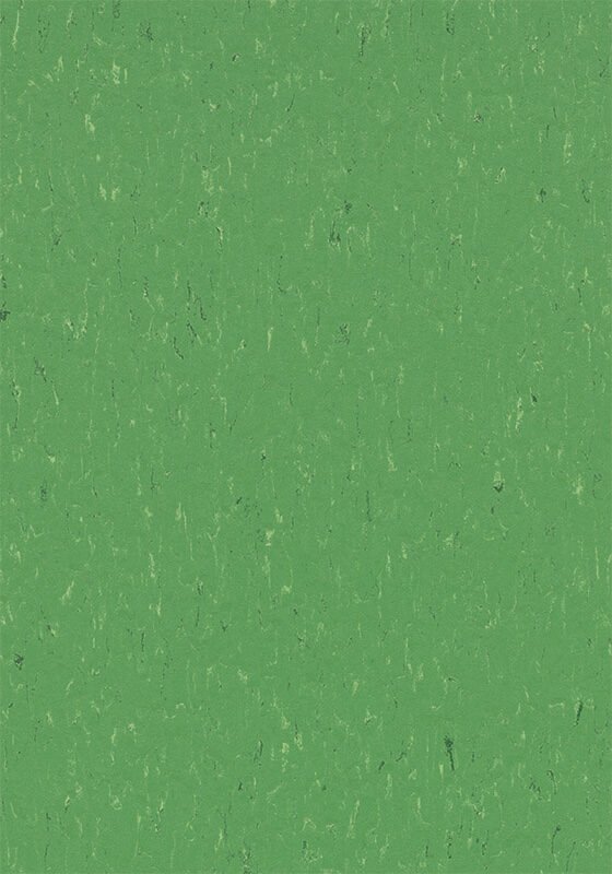 3647 Nettle Green