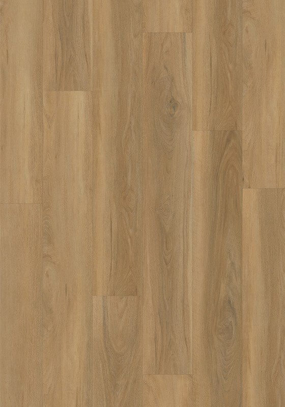 Bristol Walnut Cover Photo