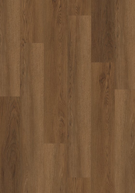 Carolina Oak Cover Photo