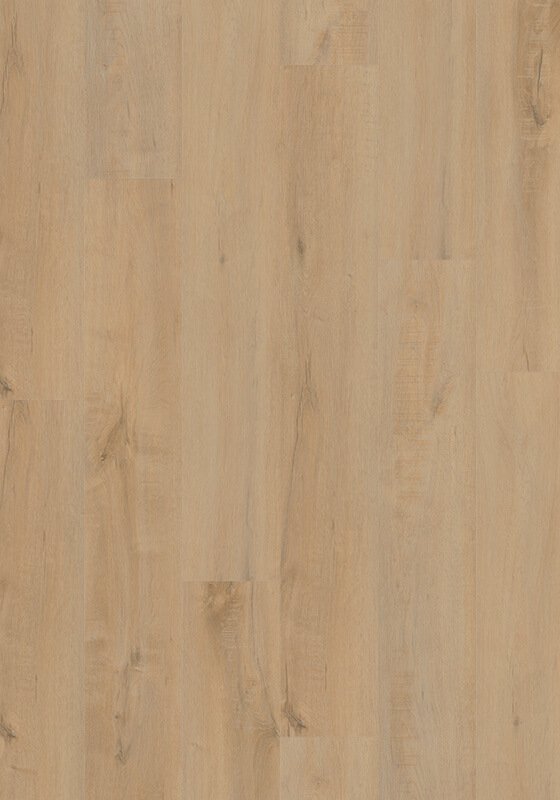 Kennesaw Oak Cover Photo