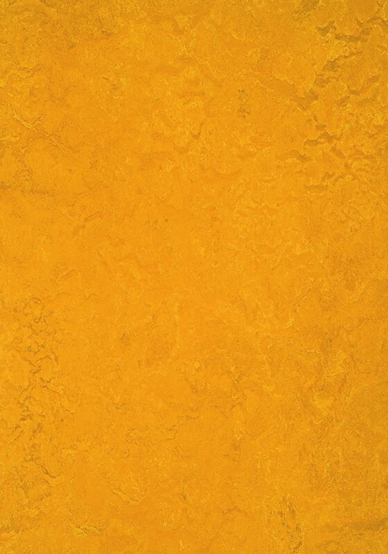 Medium-312535 Golden Sunset