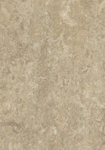 Medium-3234 Forest Ground