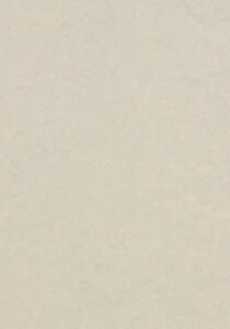 Medium-3257 Edelweiss