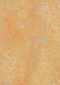 Medium-3411 Sunny Day