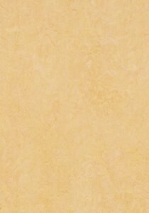 Medium-3846 Natural Corn New