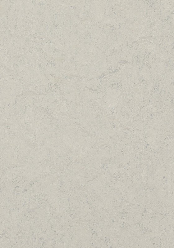 Medium-3860 Silver Shadow