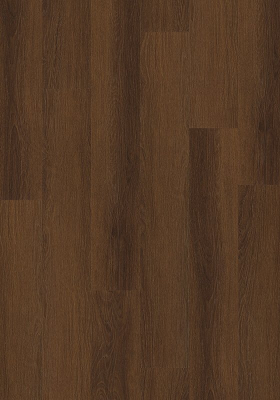 Rocky Face Oak Cover Photo